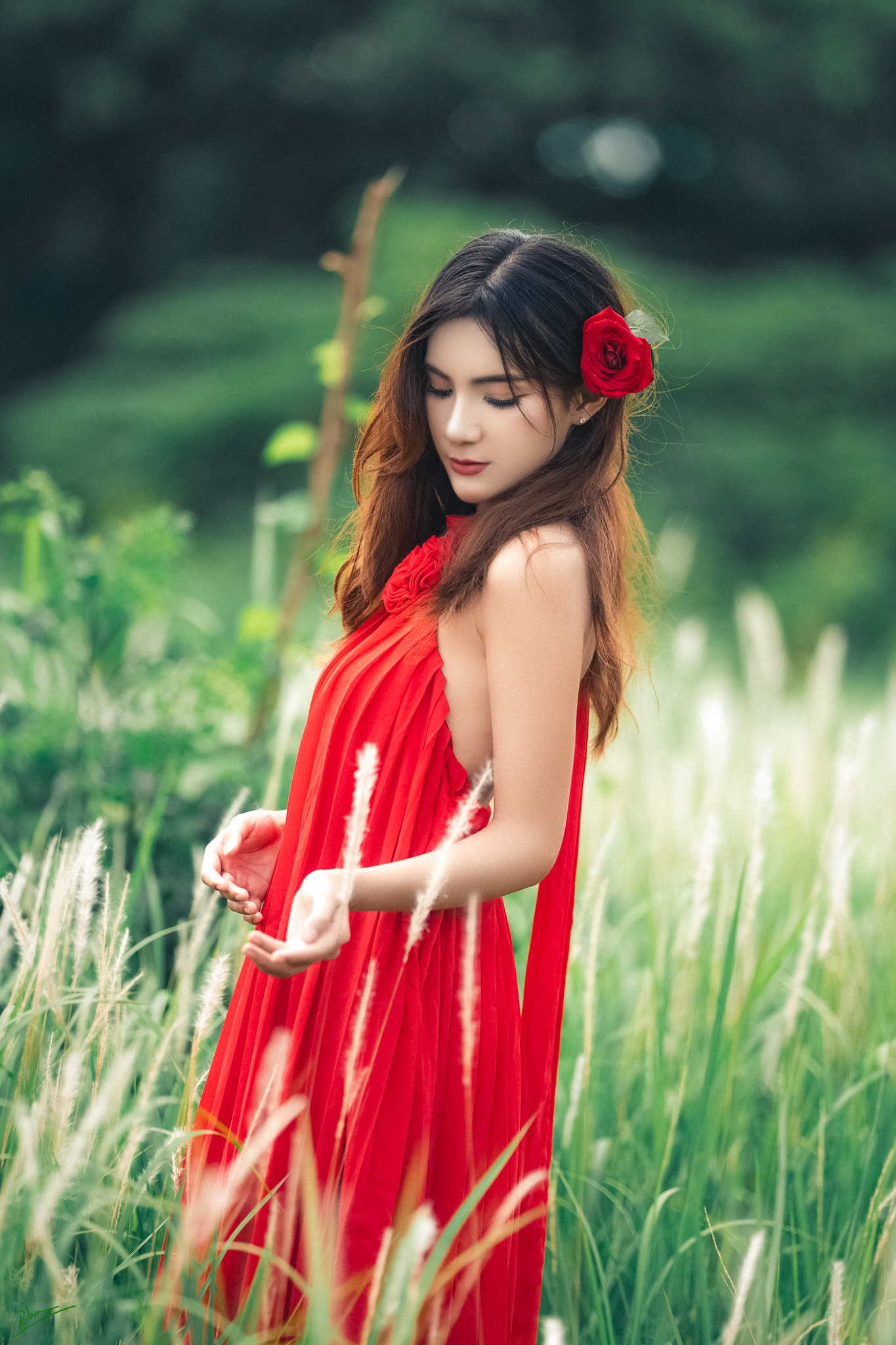 Concept Cánh đồng cỏ lau tại Hồ Đá Bình Dương